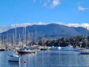 My Hobart Home - Buyers Agents Hobart — buyer agent profile photo