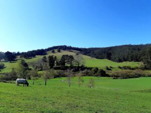 My Hobart Home - Buyers Agents Hobart — buyer agent profile photo